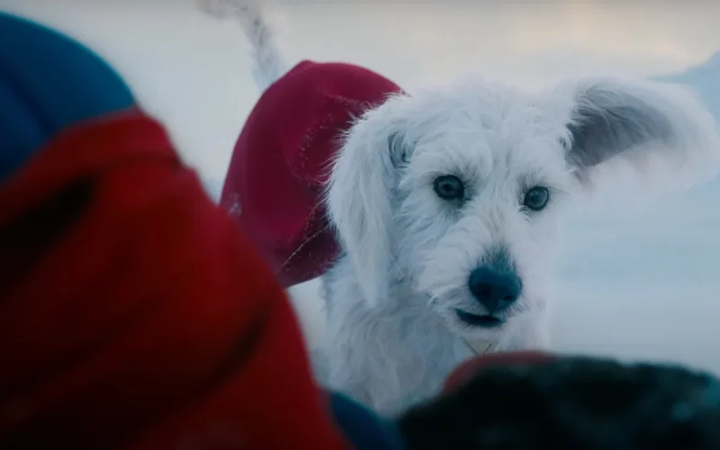 James Gunn Teases Krypto The Superdog Animated Series